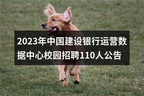 2023年中国建设银行运营数据中心校园招聘110人公告 图片