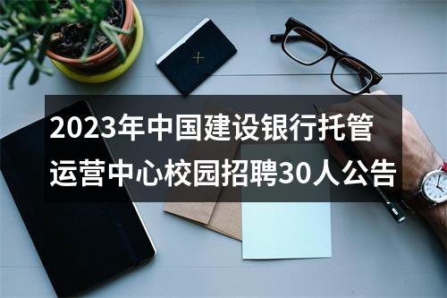 2023年中国建设银行托管运营中心校园招聘30人公告 图片