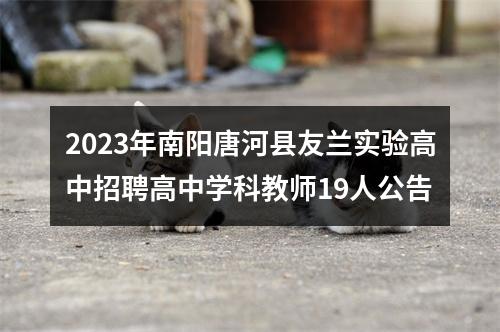 2023年南阳唐河县友兰实验高中招聘高中学科教师19人公告 图片
