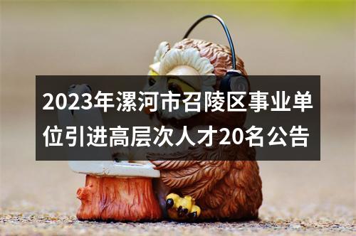 2023年漯河市召陵区事业单位引进高层次人才20名公告 图片