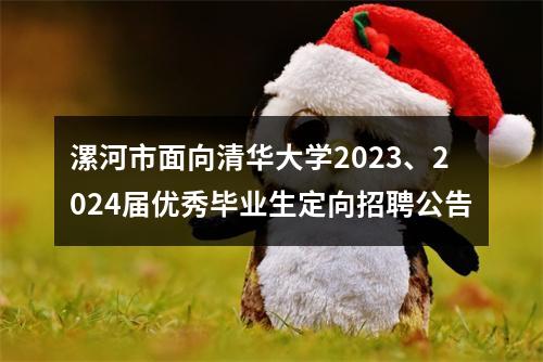 漯河市面向清华大学2023、2024届优秀毕业生定向招聘公告 图片