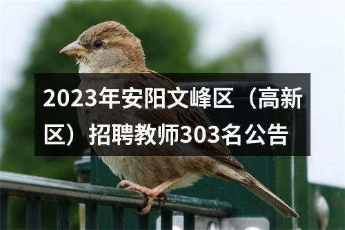 2023年安阳文峰区（高新区）招聘教师303名公告 图片
