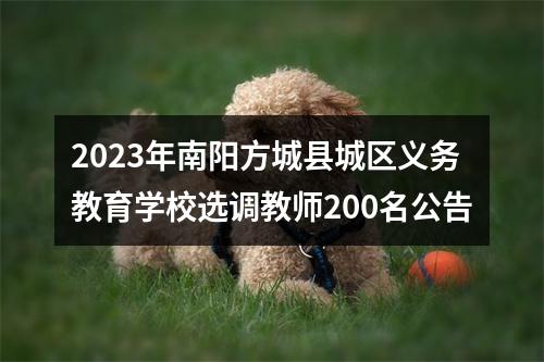 2023年南阳方城县城区义务教育学校选调教师200名公告 图片