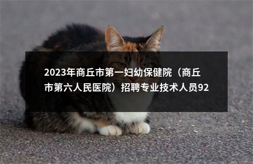 2023年商丘市第一妇幼保健院（商丘市第六人民医院）招聘专业技术人员92名公告 图片