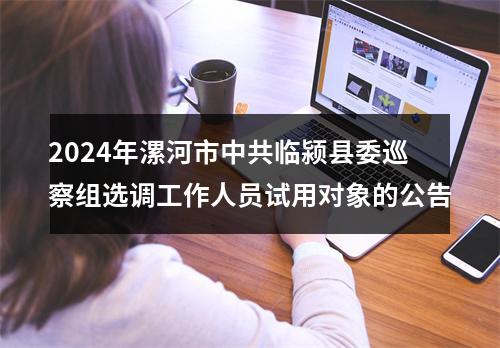 2024年漯河市中共临颍县委巡察组选调工作人员试用对象的公告 图片