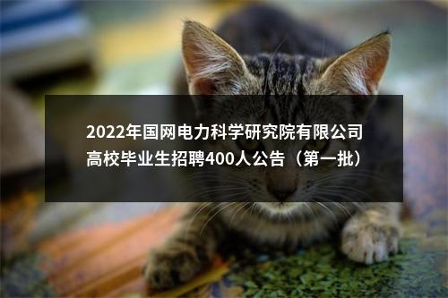 2022年国网电力科学研究院有限公司高校毕业生招聘400人公告（第一批） 图片