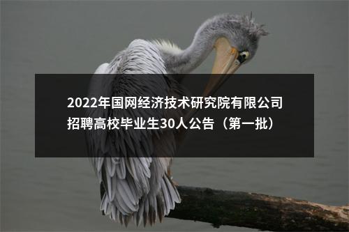 2022年国网经济技术研究院有限公司招聘高校毕业生30人公告（第一批） 图片